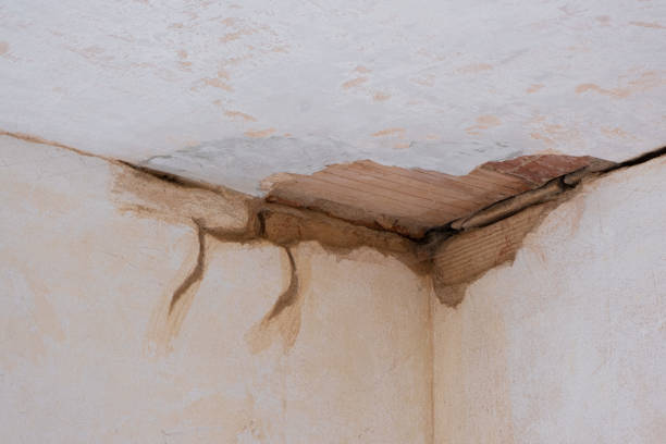 Best 24-hour water damage restoration  in Royse City, TX