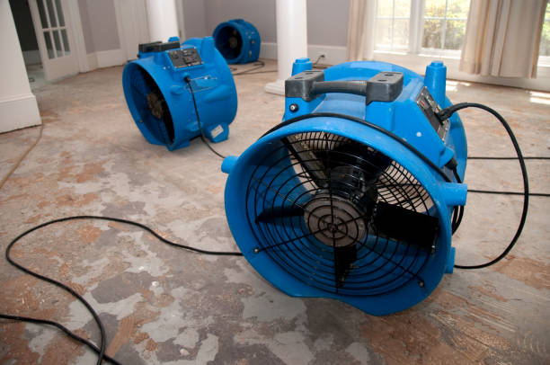 Best Flood restoration services  in Royse City, TX