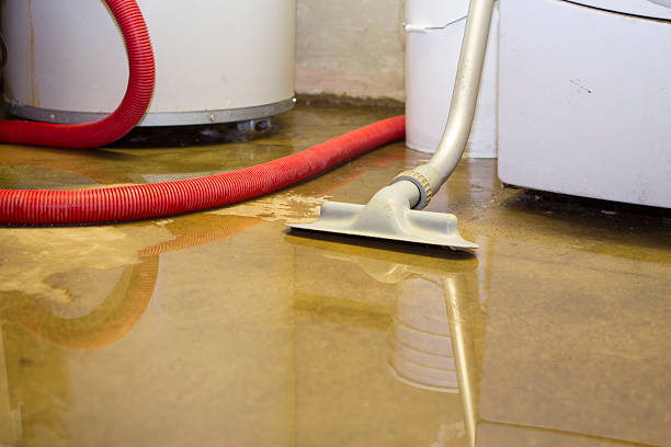 Best Flooded house restoration  in Royse City, TX