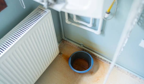 Best Water damage restoration near me  in Royse City, TX