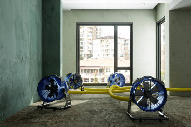 Best Commercial water damage restoration  in Royse City, TX